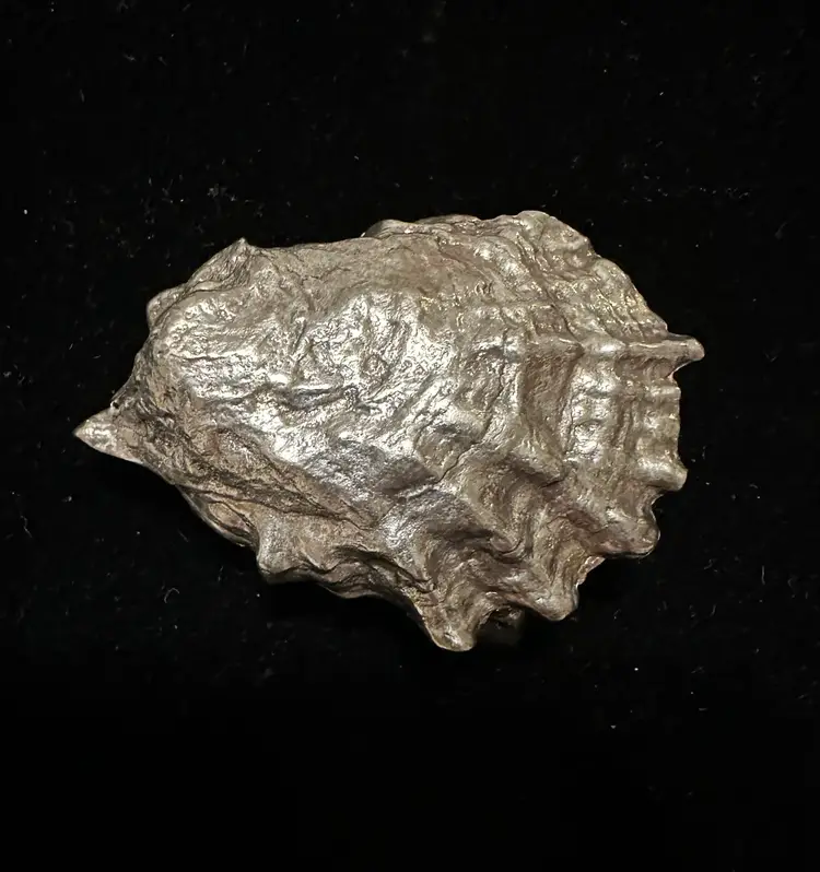James Breakell Sterling Silver Belt Buckle Oyster Shell
