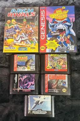 Sega Video Game Lot