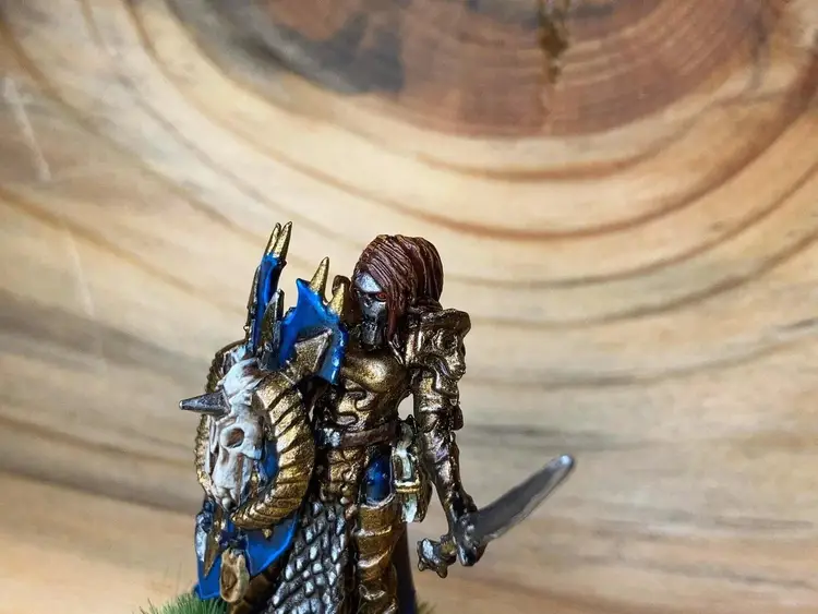 Custom Painted Female Paladins Reaper Bones Mara Frostblade 77490