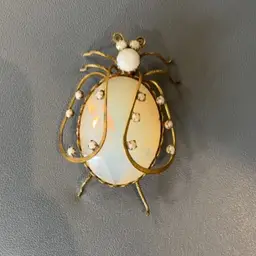 Beetle Brooch