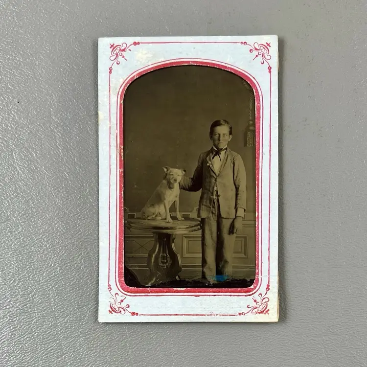 Antique Original Photo Tintype Well Dressed Young Boy and Pet Dog Tin Type