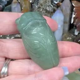 Green Aventurine Cicada