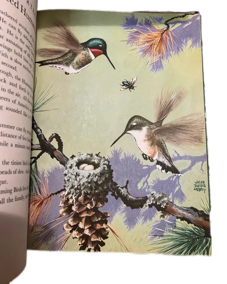 1942 Oversize Bird Book