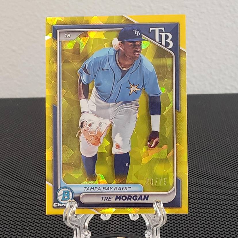 オールスター 2024 topps Update Series 今永昇太（psa10 2024 ひろい 