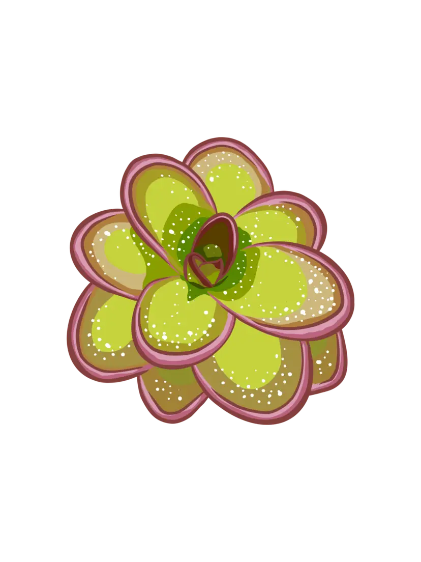 Livestream thumbnail