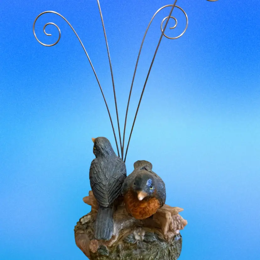 Bird Robin Picture Or Card Holder