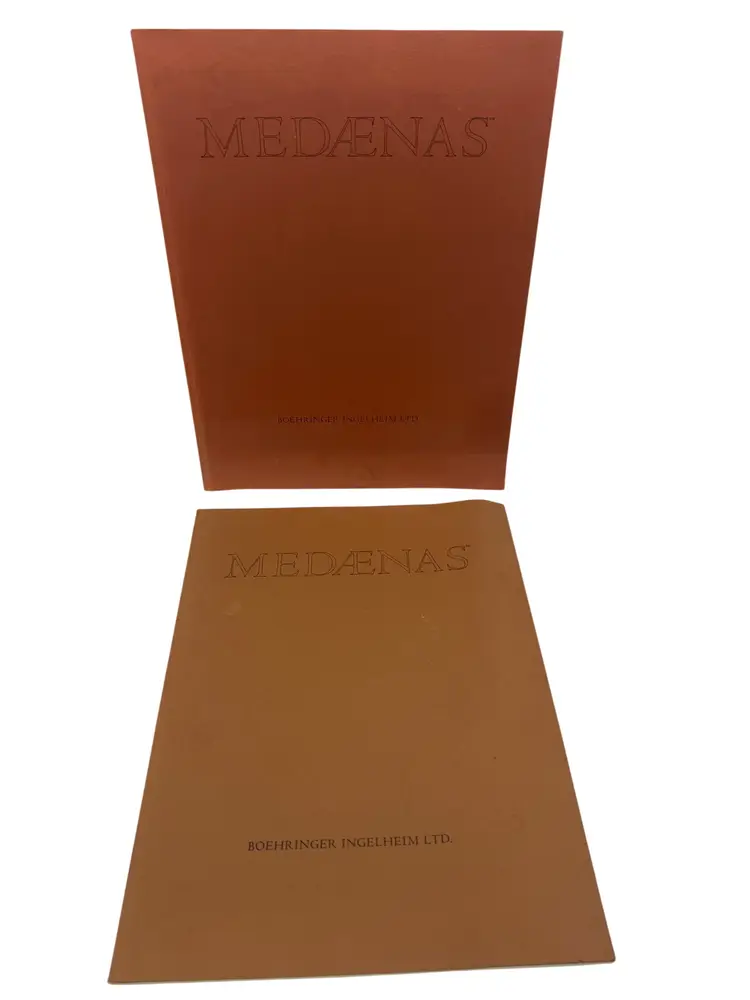 Medaenas Monographs: Rembrandt & Michelangelo 1980–81 Met Museum Edition Folios