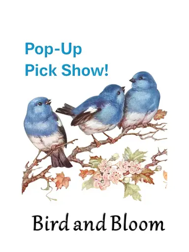 Pop-Up Pick Show! New Calculated Shipping!