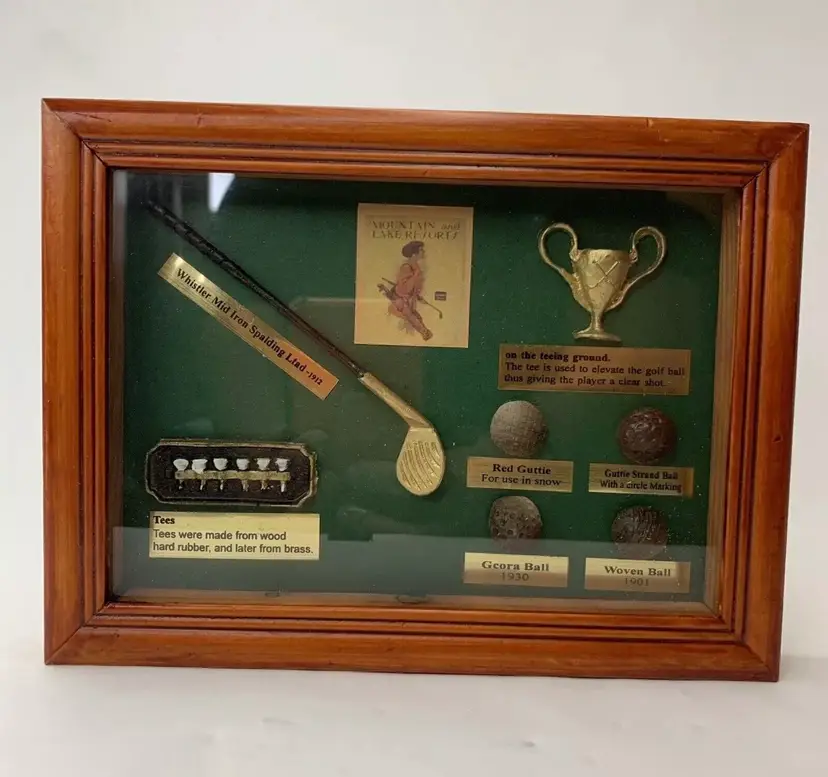Vintage English Golf Shadow Box Display Case Wall Plaque Shadow Box 8" X 6" USA
