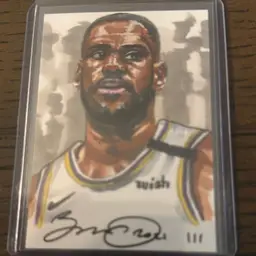 Lebron James Hand Drawn With COA