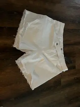 Tractor Side Zipper Shorts