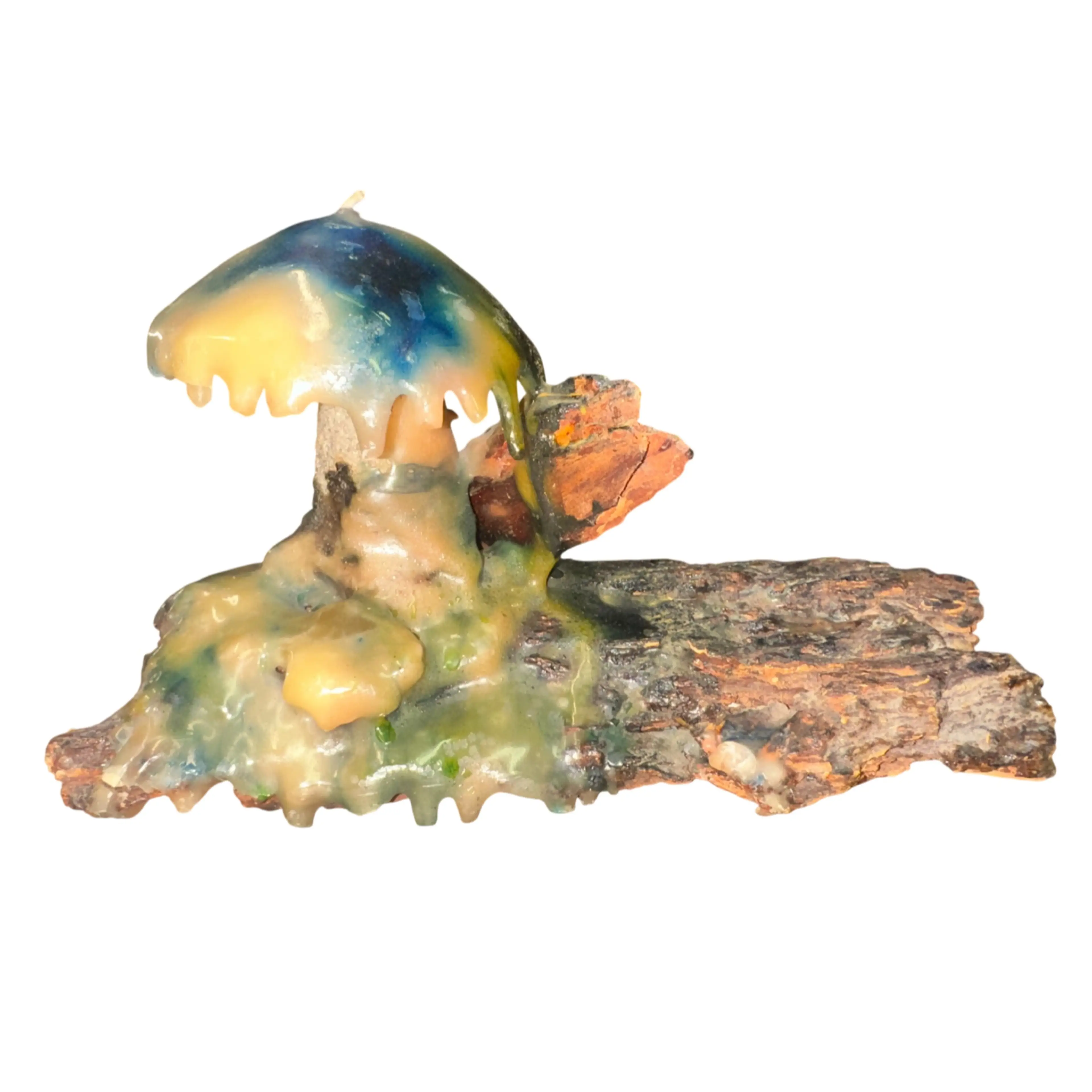 Image 2 of 8