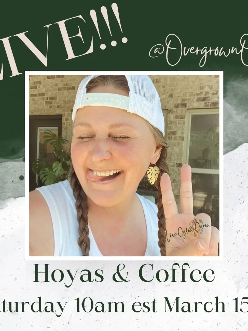 Livestream thumbnail