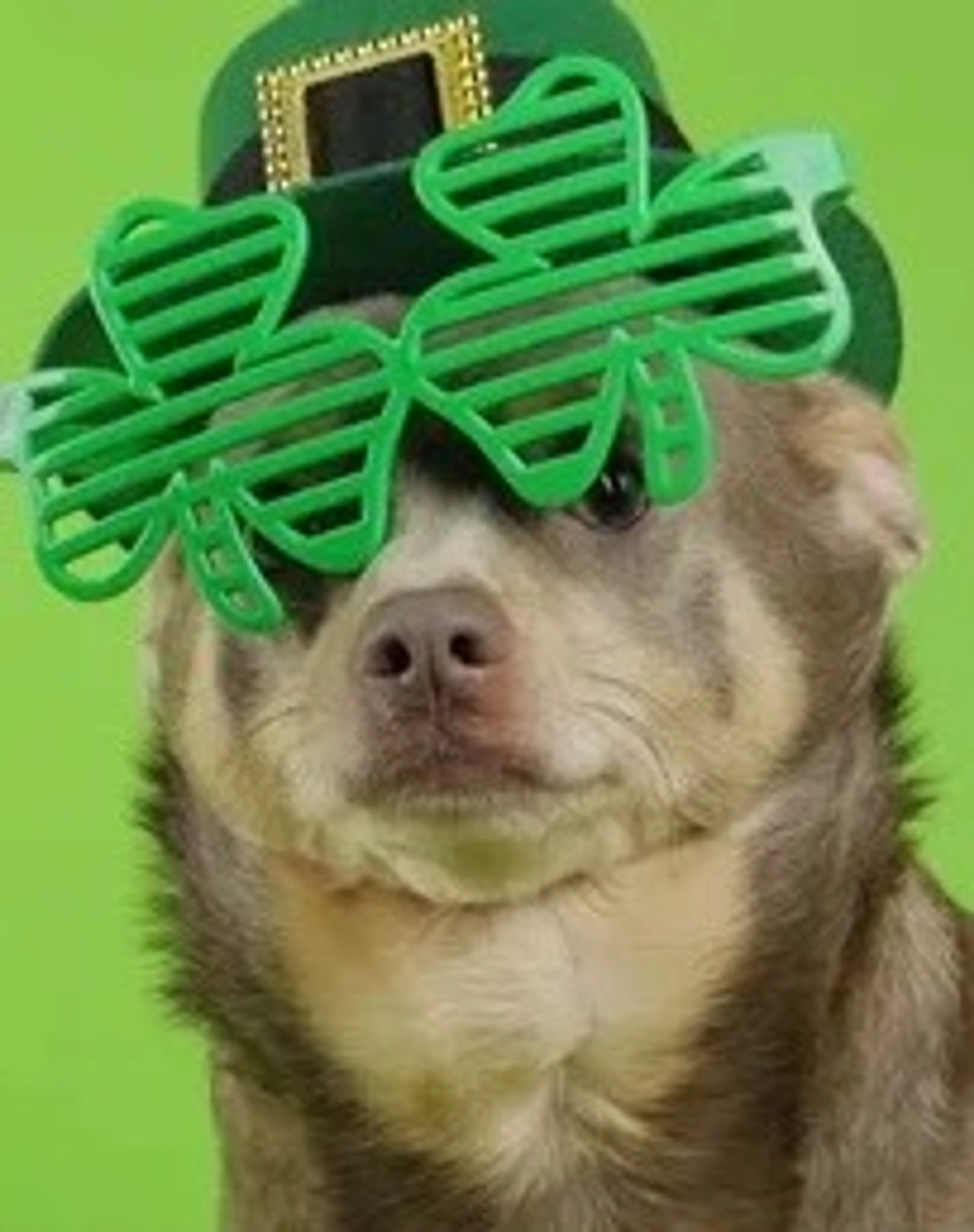 Disney And Other Figurines