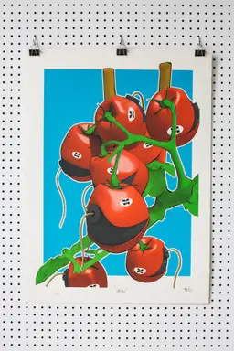 "GMNO Tomatoes" 2017