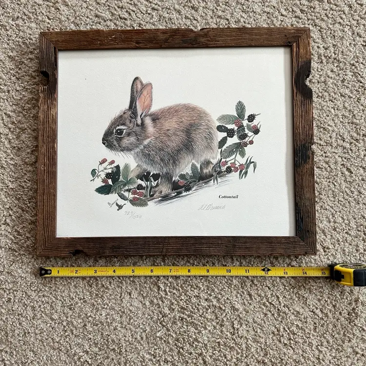 Limited edition - Signed and numbered print of a cottontail rabbit by Al Dornisch. Rustic frame
