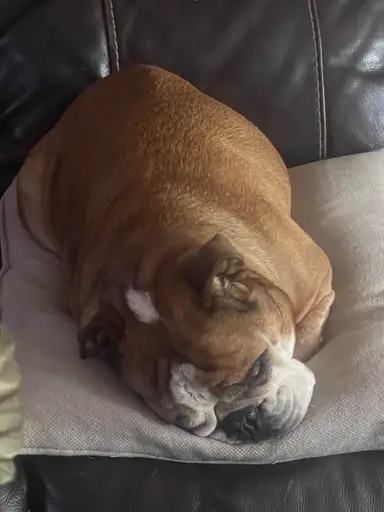 Rosey Invites You To The Friday Shop The Shelves. Come In And Say Hello!