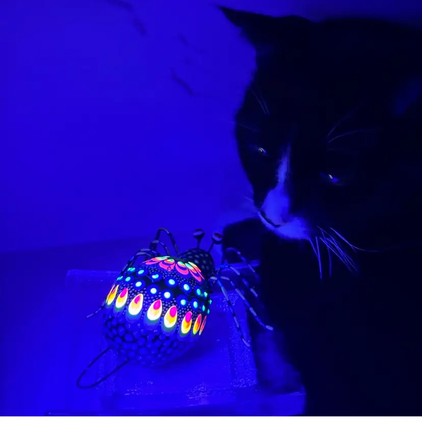 Mexican Folk Art UV Paint Reactive Hand painted Spider With Red Eye Balls