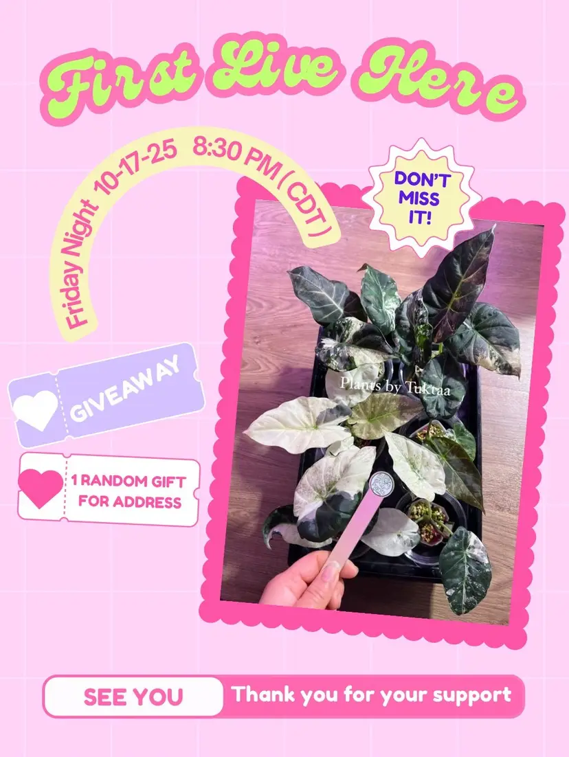 Livestream thumbnail