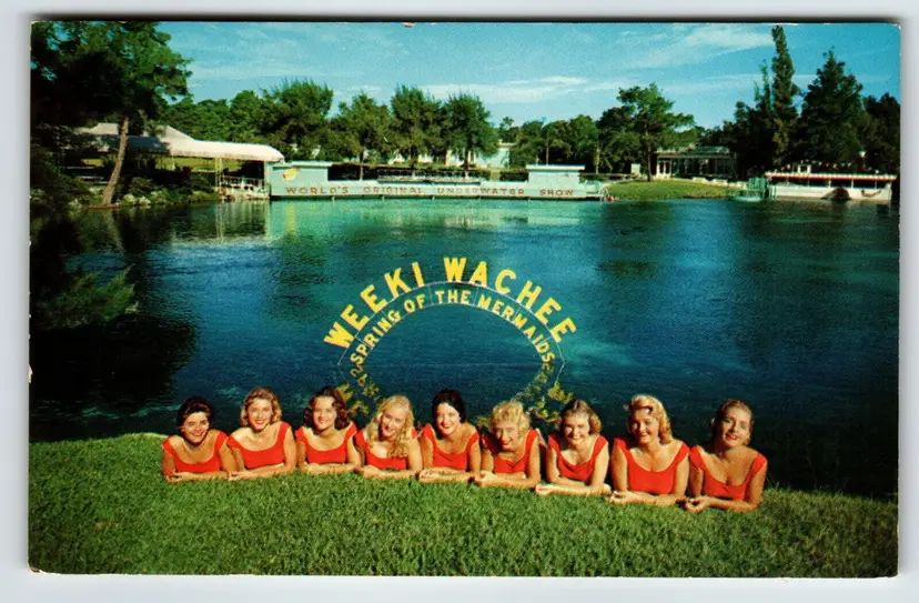Postcard Weeki Wachee Spring Of The Mermaids Florida Underwater Show Chrome 1959