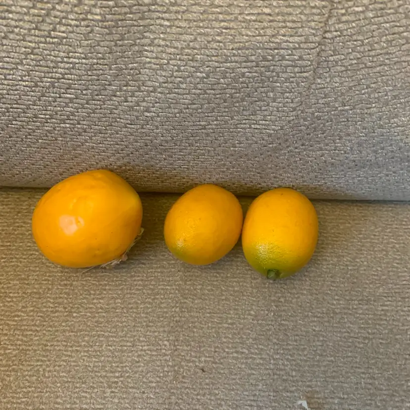 3 Lemons