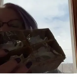 Ardalt Candle Holders Set Of 4