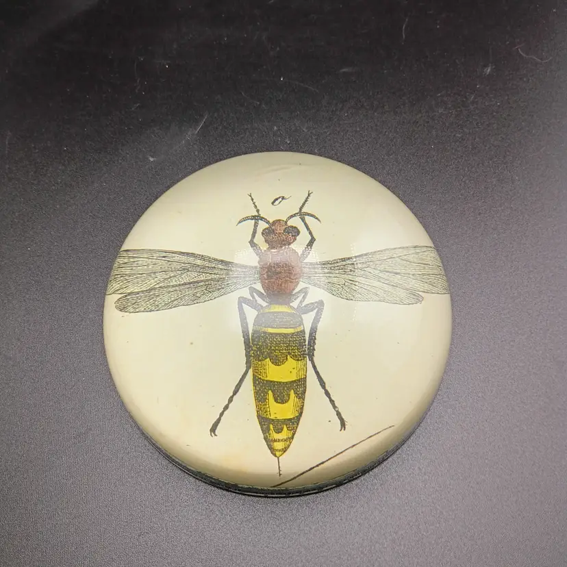 Wingzz For The Win! John Derian bee paperweight