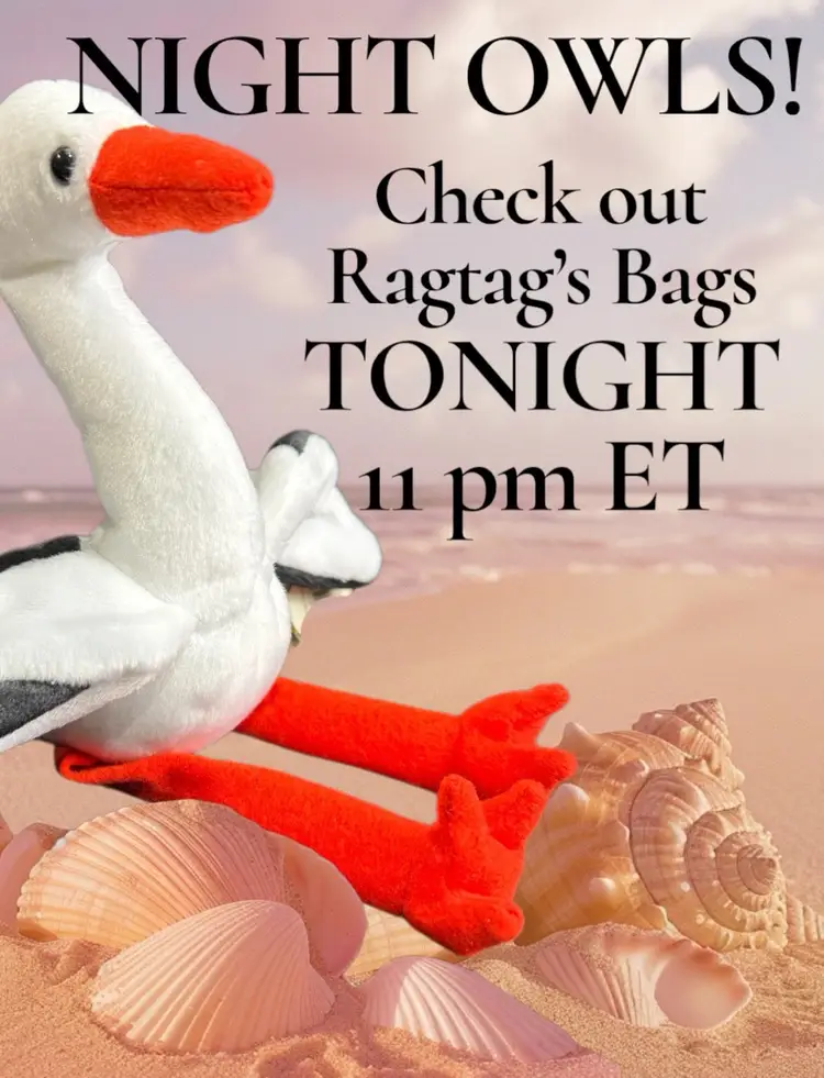 Saturday Night Shopping - BAGS BAGS BAGS!