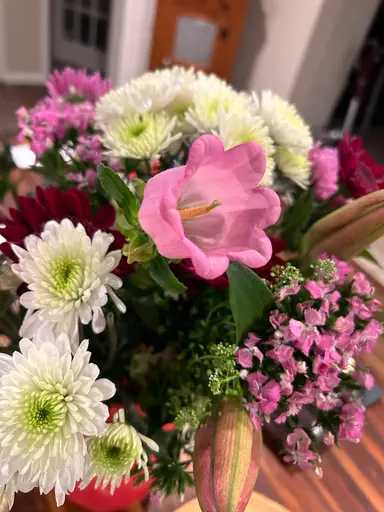 Last Minute Pop Up Unboxing 