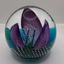 Caithness Scotland, Colin Terris, FIREWORK ORCHID, LE Paperweight 68/500. Stunning!!! c2001