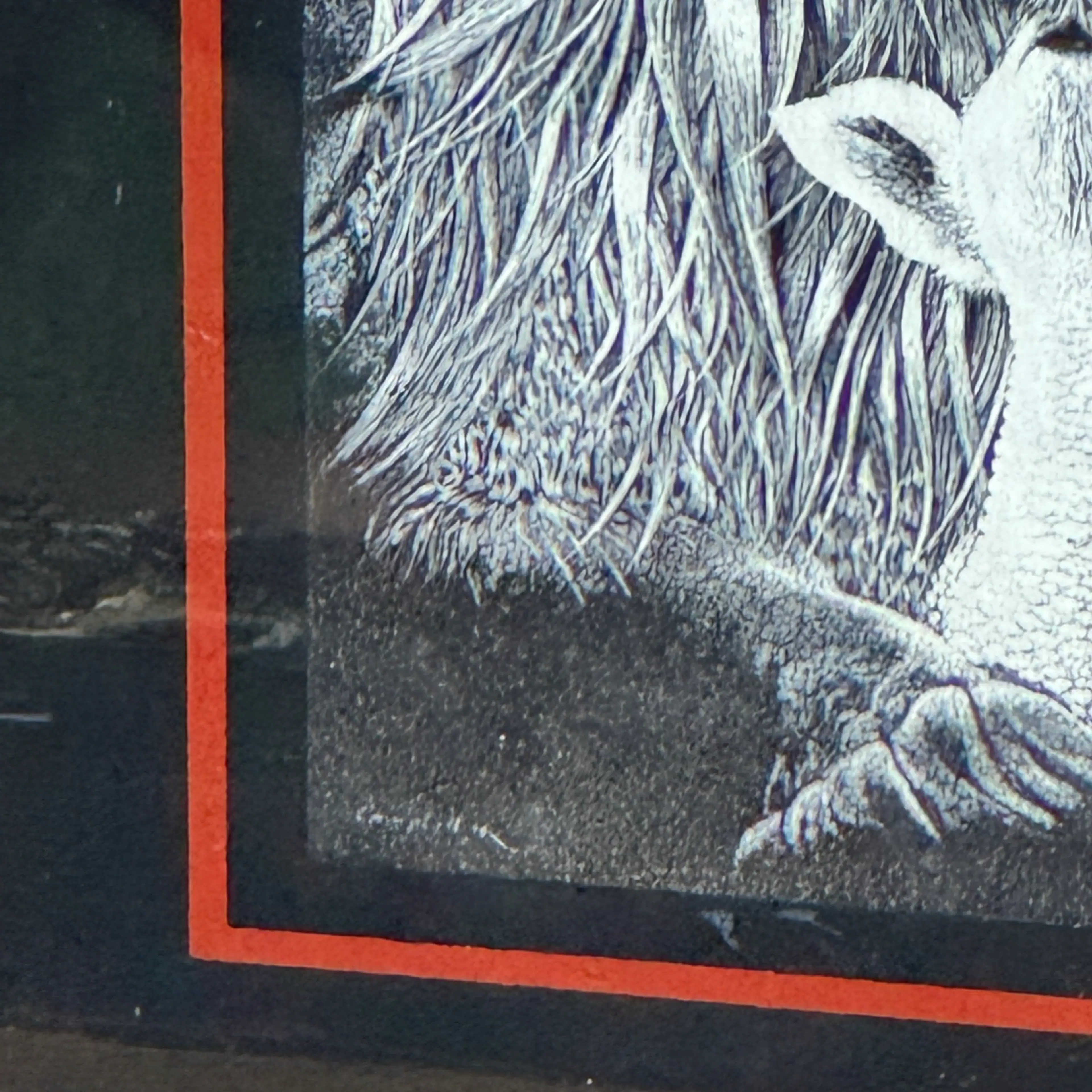 Image 3 of 6