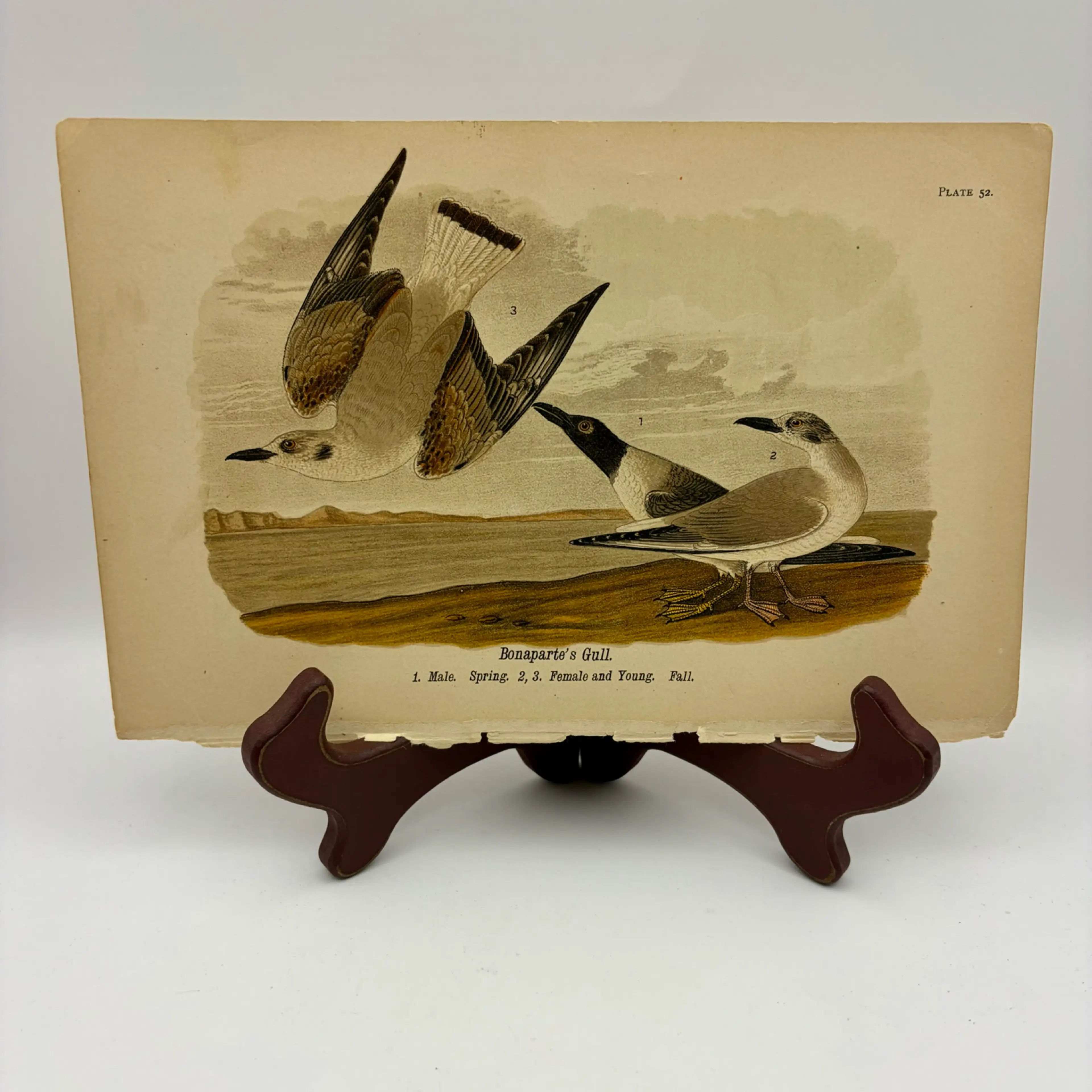 Image 1 of 9