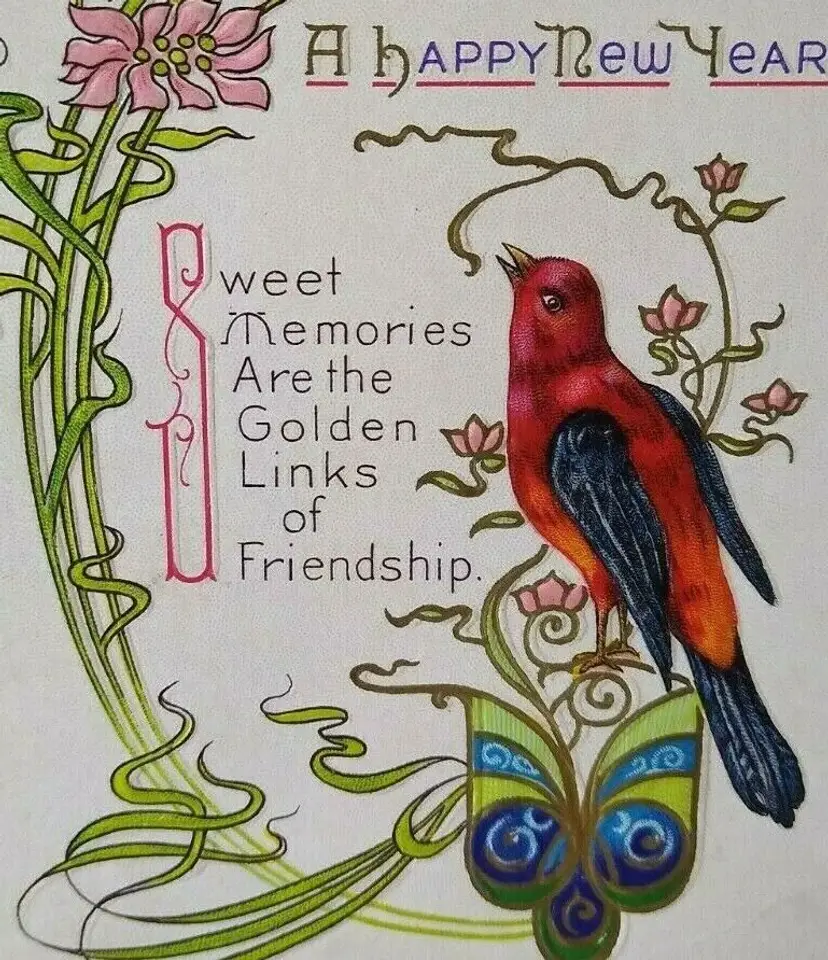 New Years Postcard Red Blue Bird Crimson Rosella Nash Vintage 40 Newark NJ 1913