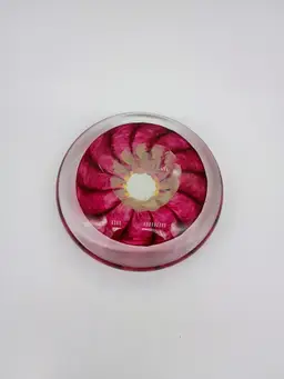 Ignis Art Glass 5" Disc Shaped Eyeball Flower Paperweight in Pinks and White
