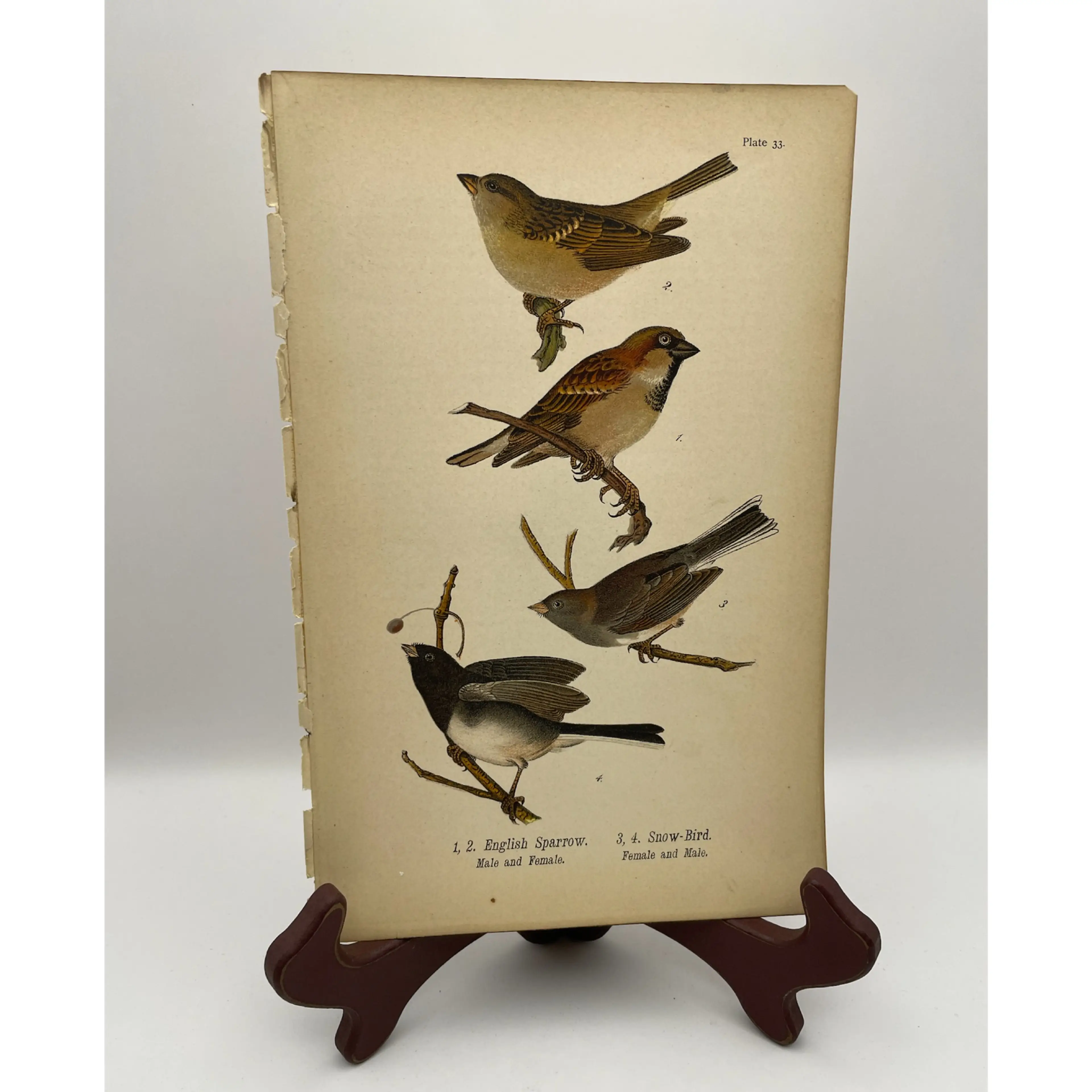 Image 1 of 8