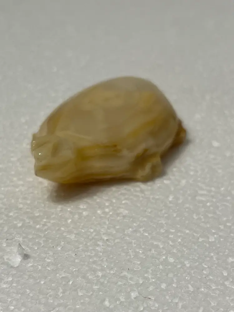 Vintage Turtle Hand Carved Onyx Rock Polished Stone Small Reptile Figurine￼￼