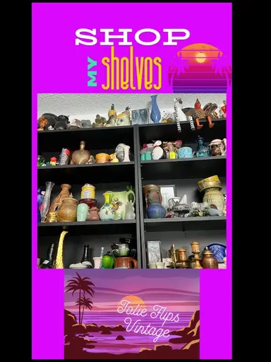 SHOP MY FLORIDA SHELVES 🌴 