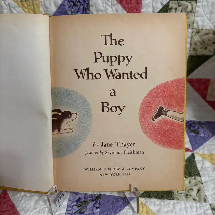 The Puppy Who Wanted A Boy 1961