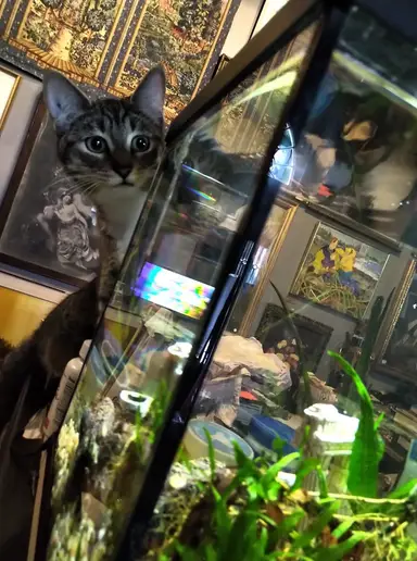 Vintiquity Night At The Antique Shop!!!