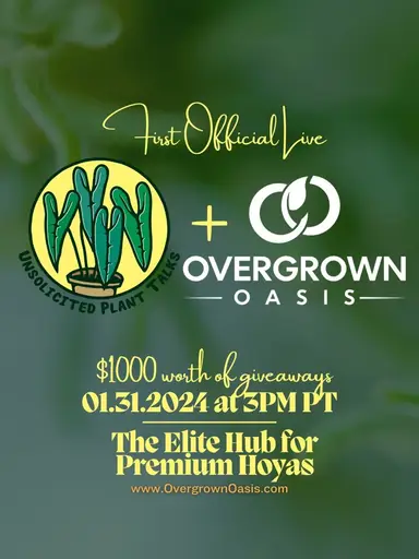 Hoyas at Their Finest, Right Here!