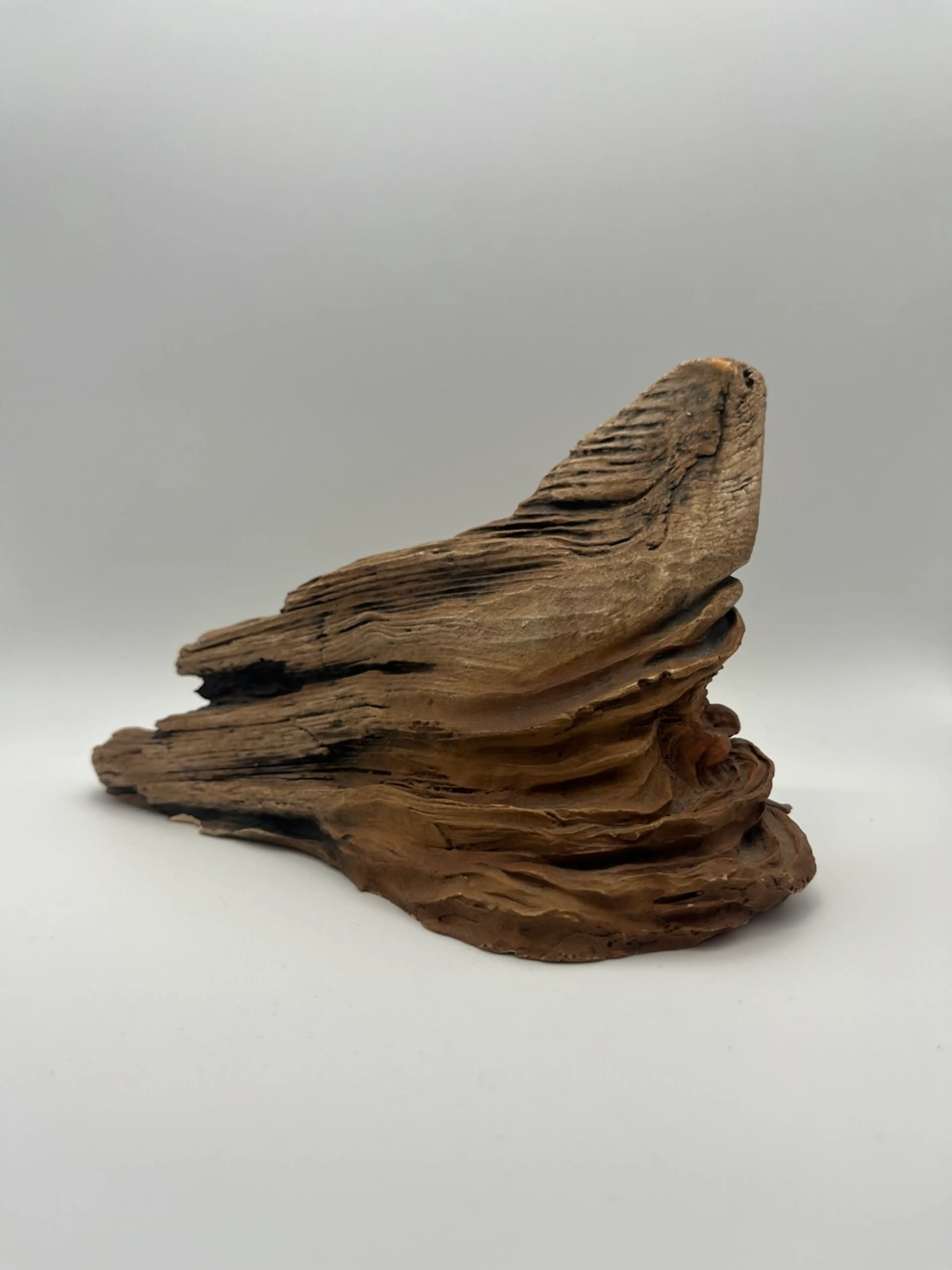 Image 2 of 7