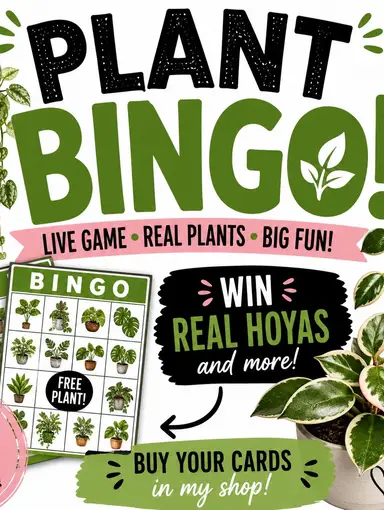 Sunday Bingo Round 2 