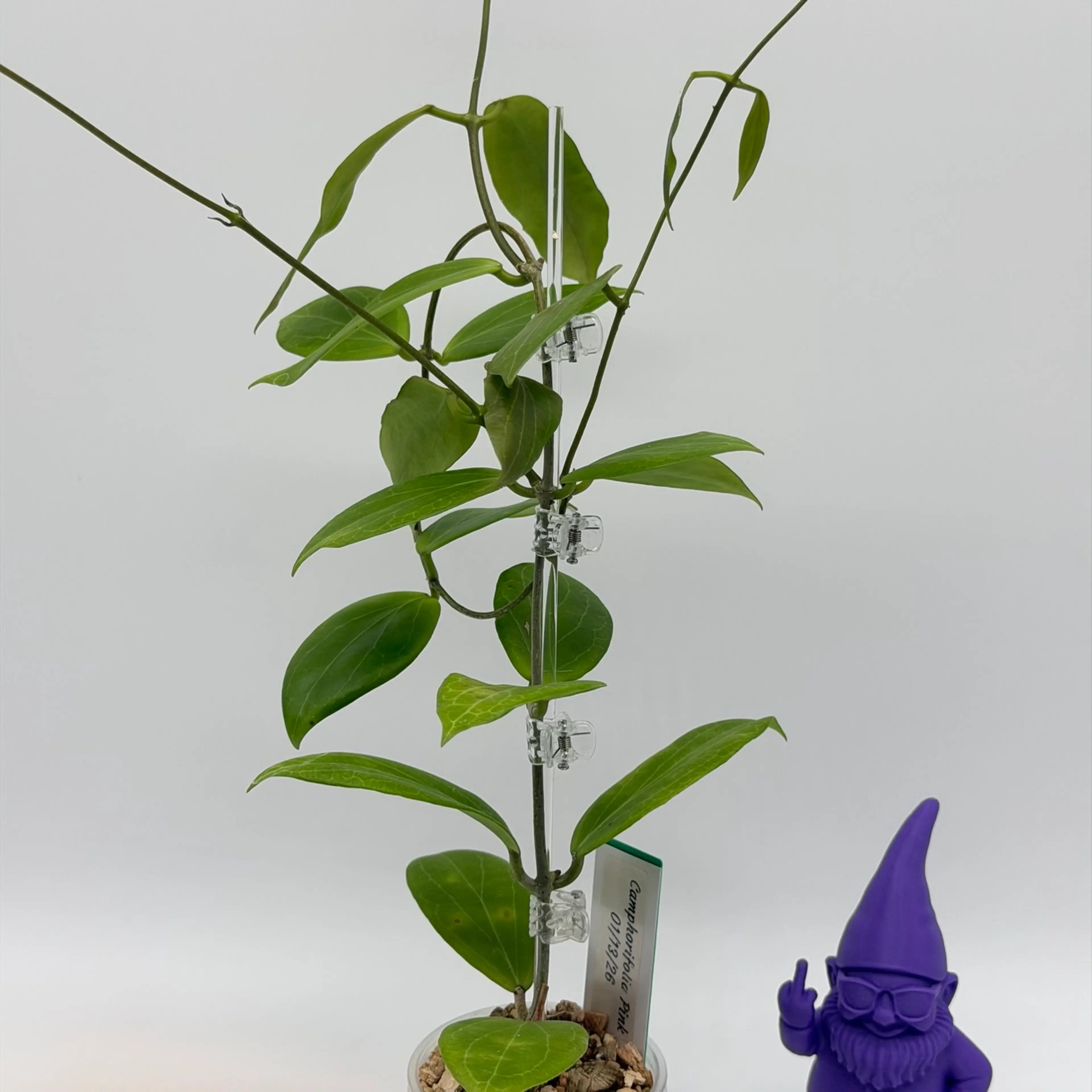 Image 3 of 3