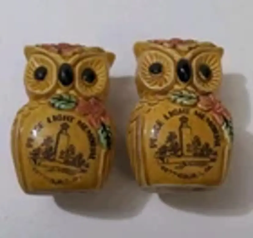 Vintage Ceramic Gettysburg, Pa Souvenir Owl Salt & Pepper Shakers Peace Light