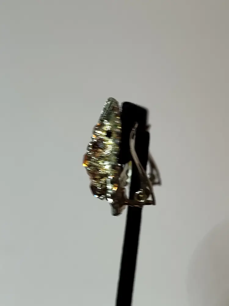 Vintage Clip BSK Earrings