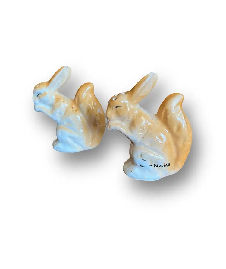 Souvenir Canada Salt And Pepper Shakers