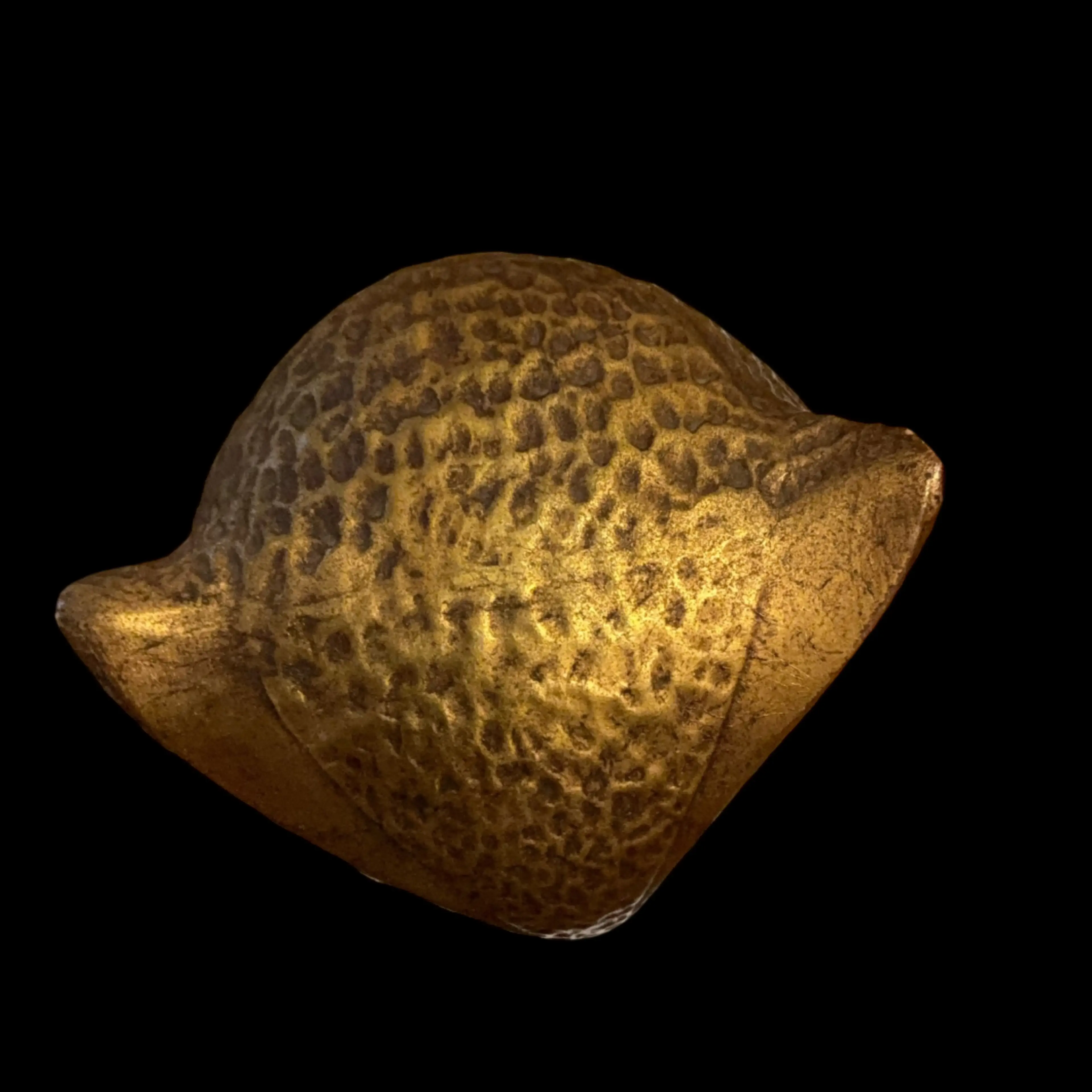 Image 5 of 7