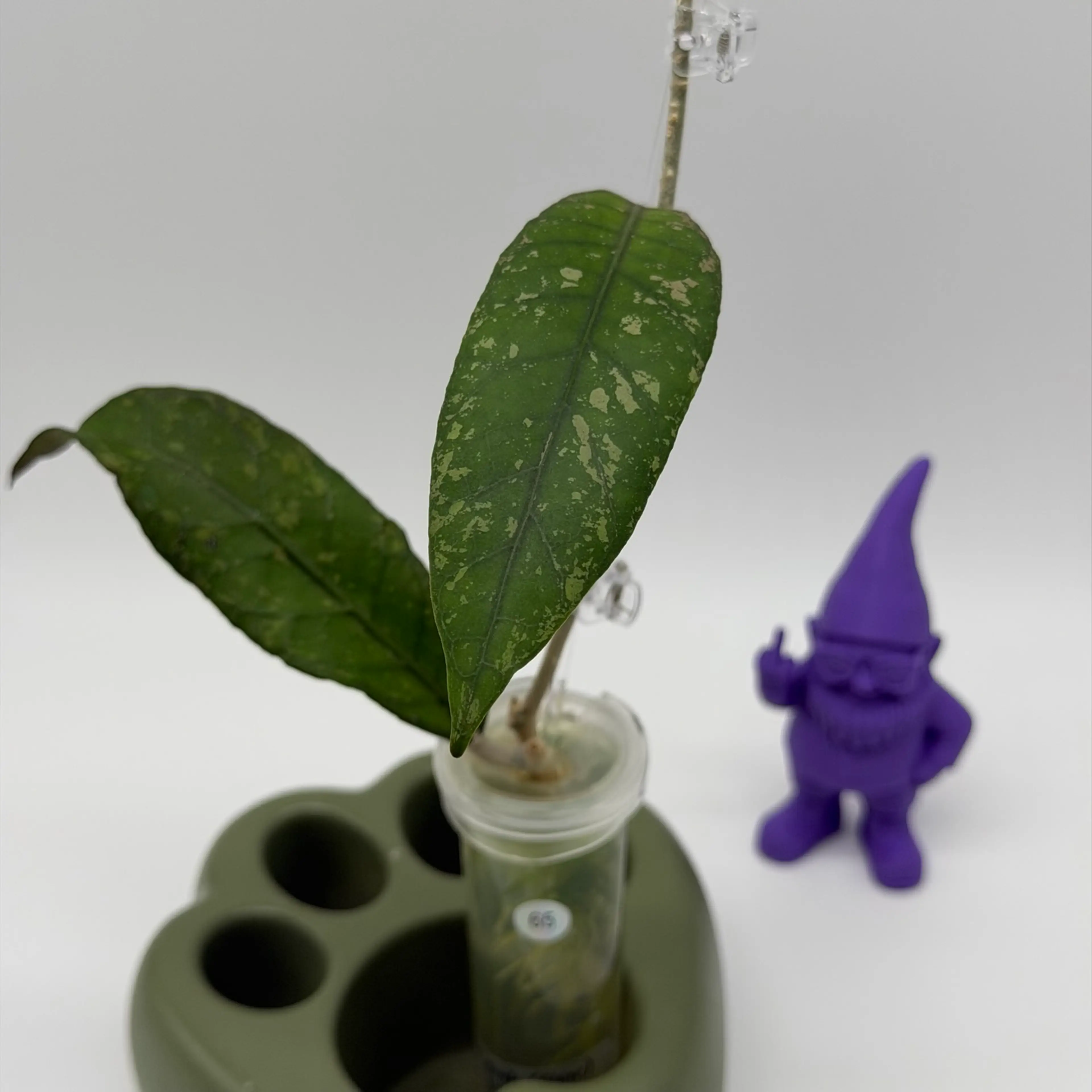 Image 2 of 3