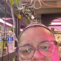 Mid Cut Inner Var Carnosa