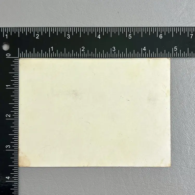 Victorian Trade Card Cottage Yellow Rose River Ocean 3.5x5"